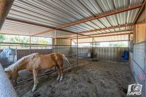 401 W 37th St (28)