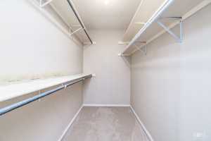 4429 White Ash Lane (16)