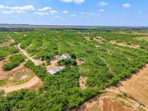 11483 N Grape Creek Rd (45)