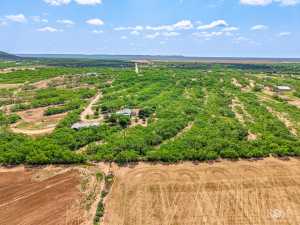 11483 N Grape Creek Rd (46)