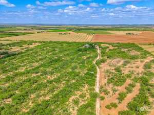 11483 N Grape Creek Rd (52)