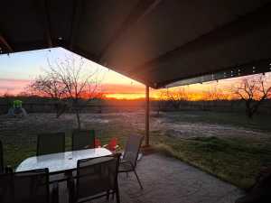 11483 N Grape Creek Rd (39)