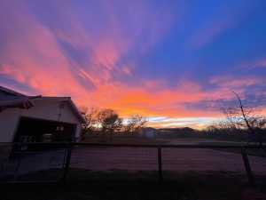 11483 N Grape Creek Rd (55)