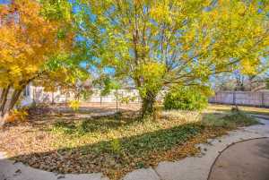 5434 Briarwood Circle (24)