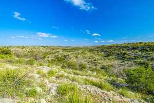 935 Ranch House Rd (23)