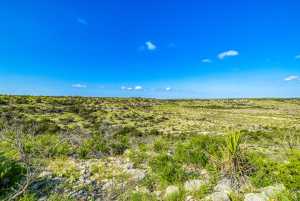 935 Ranch House Rd (25)