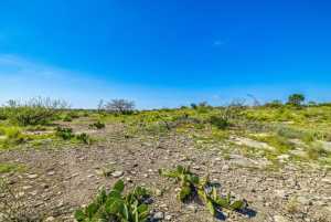 935 Ranch House Rd (29)