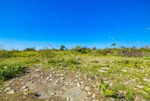 935 Ranch House Rd (30)