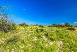 935 Ranch House Rd (31)