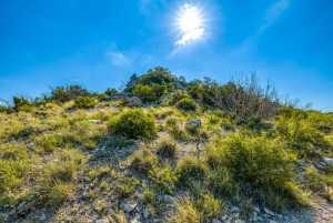 935 Ranch House Rd (22)