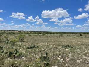 FM 1828 (7)