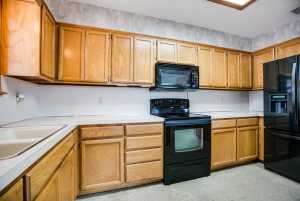 4201 Shefflera Dr (17)
