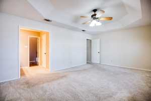 4201 Shefflera Dr (19)