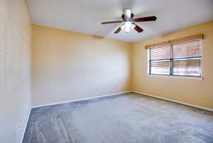 4201 Shefflera Dr (25)