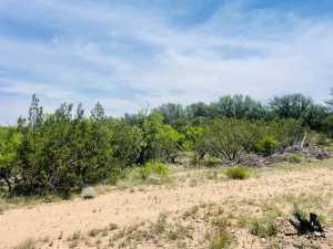 10357 Jerimiah Lane (10)