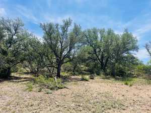 10357 Jerimiah Lane (13)