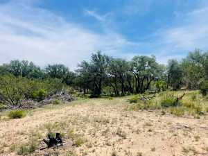 10357 Jerimiah Lane (14)