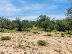 10357 Jerimiah Lane (16)