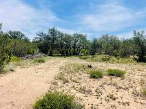 10357 Jerimiah Lane (17)