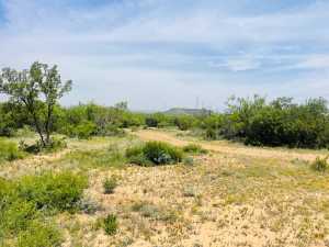 10357 Jerimiah Lane (19)