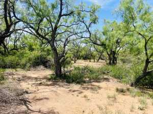 10357 Jerimiah Lane (22)