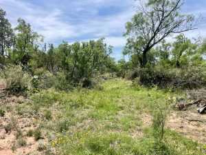 10357 Jerimiah Lane (26)