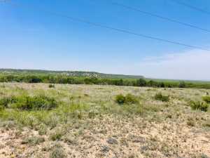 10357 Jerimiah Lane (4)