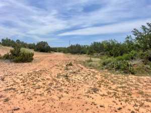 10357 Jerimiah Lane (27)
