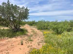 10357 Jerimiah Lane (30)