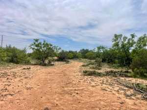 10357 Jerimiah Lane (31)