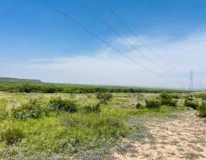 10357 Jerimiah Lane (35)
