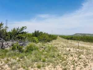 10357 Jerimiah Lane (6)