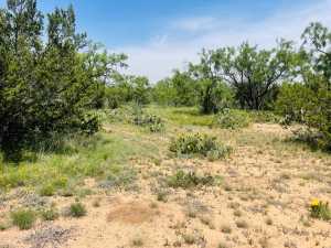 10357 Jerimiah Lane (7)