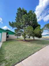 1008 Pine (17)