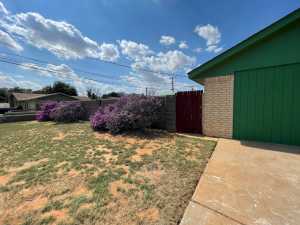 1008 Pine (27)
