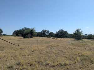 1101 County Rd 300 (17)