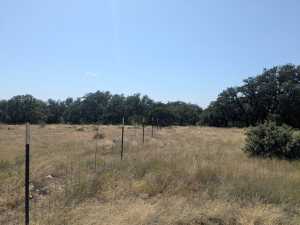 1101 County Rd 300 (18)