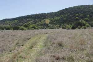 1976 W Cedar Creek Dr (3)