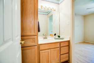 3306 Silver Spur Dr (25)