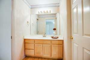 3306 Silver Spur Dr (28)