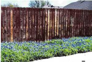 3306 Silver Spur Dr (38)