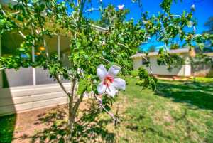 2674 Harvard Ave (41)
