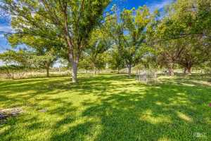 15854 Walnut Grove Rd (20)