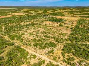 15854 Walnut Grove Rd (49)