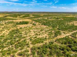 15854 Walnut Grove Rd (52)