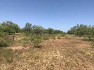 440 Lakeview Heroes Dr (27)