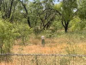 440 Lakeview Heroes Dr (10)