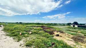8741 Rust Rd (5)