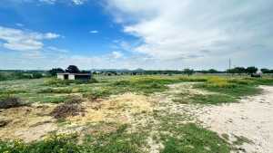 8741 Rust Rd (7)