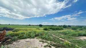 8741 Rust Rd (8)